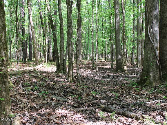 4th image of 2 Ruffner Rd