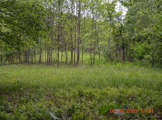 805 Fiddlers Gln, Heaters, WV 26627