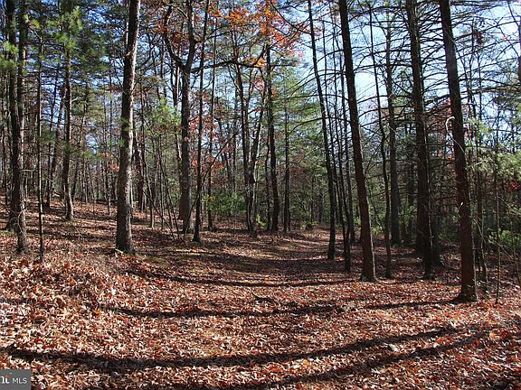 2nd image of Rolly Rd