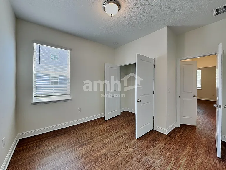 1367 Celery Palm Cv — Photo 19