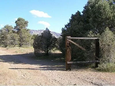346 Patricia Ln photo 1