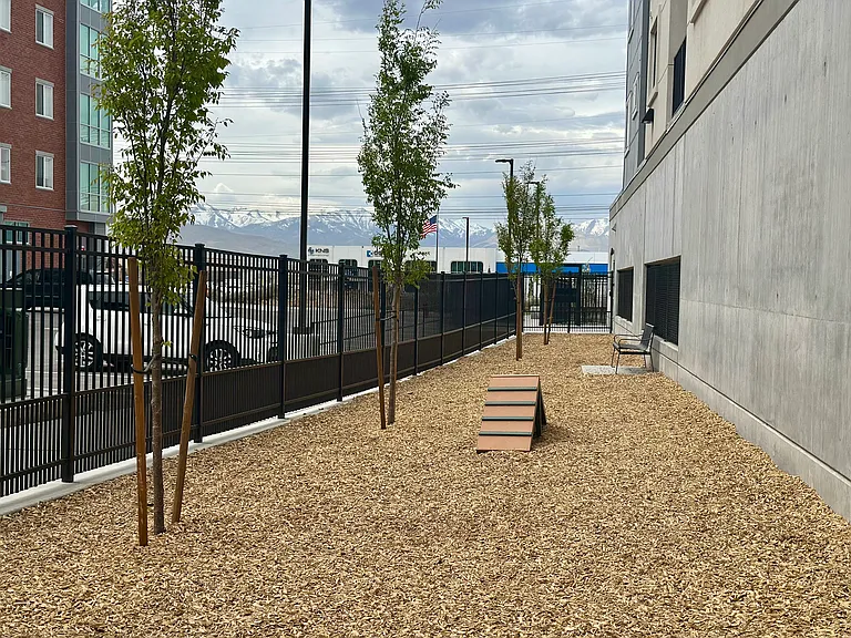 2nd Dog Park