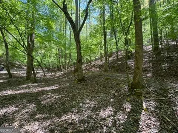 LOT 1972 Nancy Ct, Ellijay, GA 30540