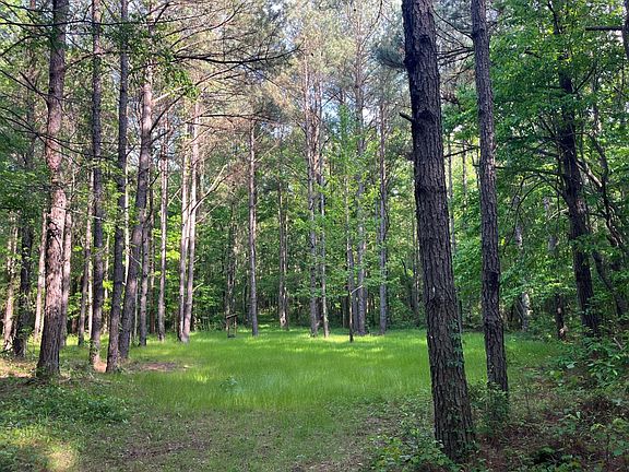 2nd image of 0 Caroline Reed Rd