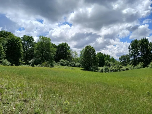 24A E Beyer Rd, Fountain, MI 49410