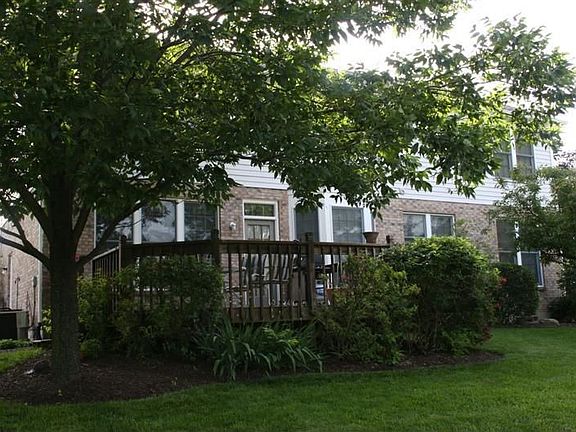 deck with shade trees