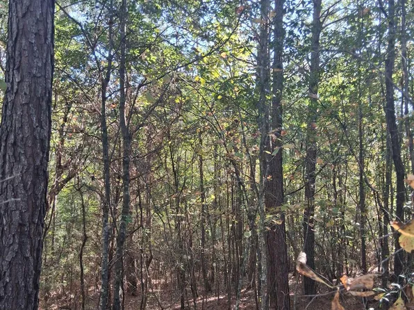 0 County Road 43 #0, Wadley, AL 36276