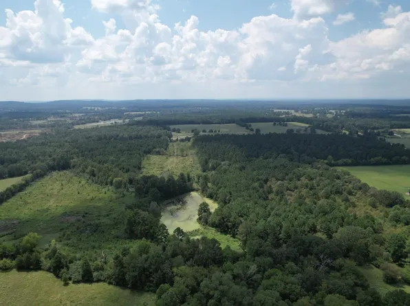 W Fm 1662, Laneville, TX 75667