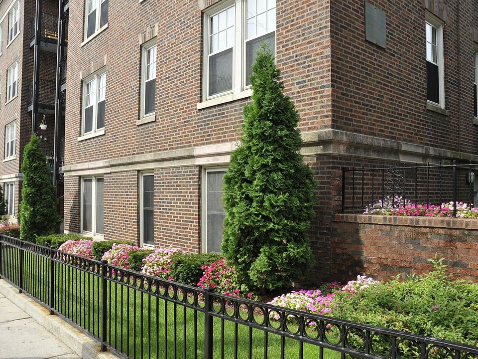 Nazing Court Apartment Rentals Dorchester, MA Zillow