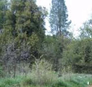 Black Canyon Rd, Shasta Lake, CA, 96019