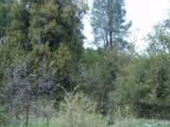 Black Canyon Rd, Shasta Lake, CA 96019