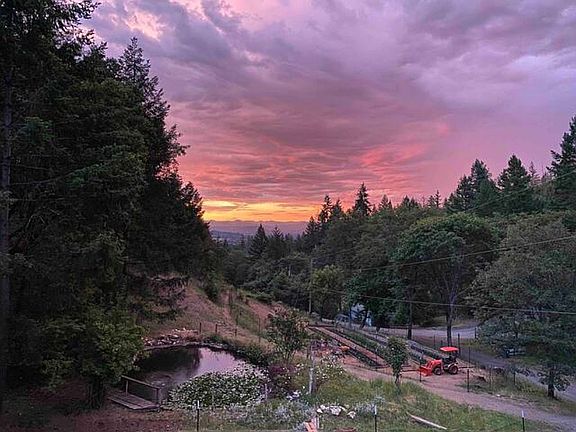 Pond and lower garden