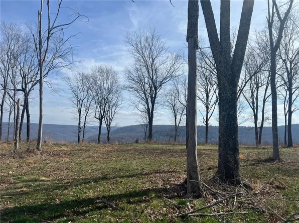 TRACT E State Highway 7, Jasper, AR 72641