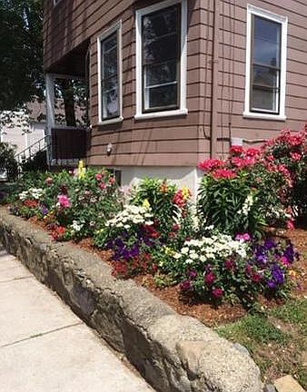 front garden