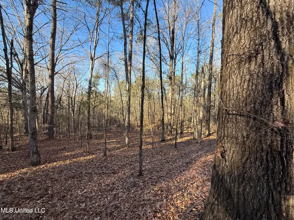 S McRaven Rd, Jackson, MS 39209