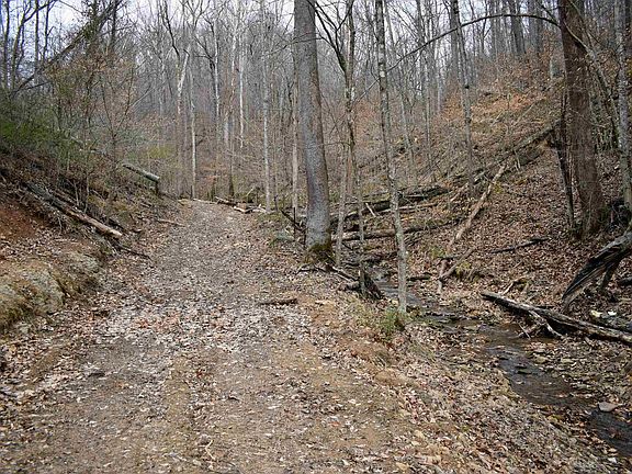 5th image of 5320 Dunkle Branch Rd