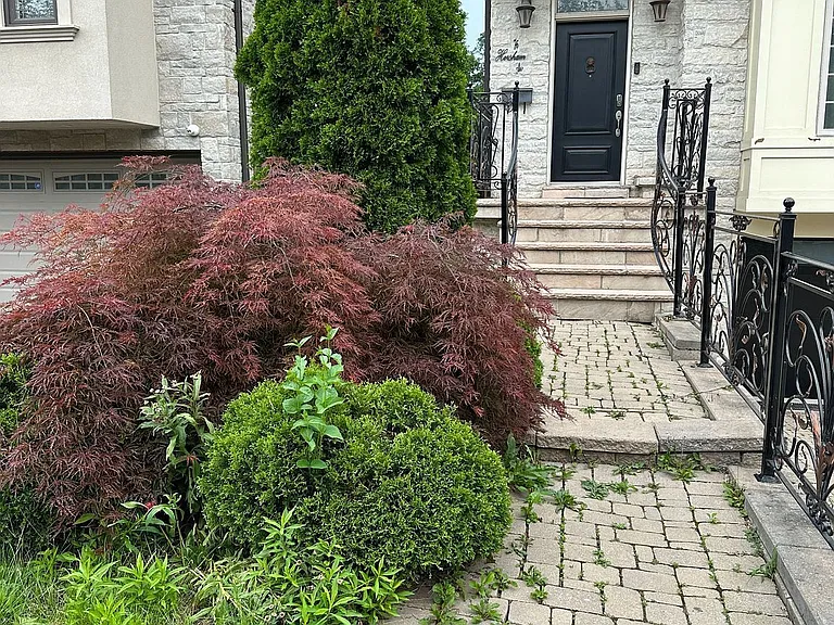 76 Horsham Ave — Photo 4