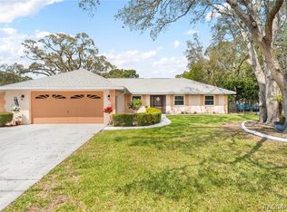 9111 Blaine Rd, Spring Hill, FL 34608
