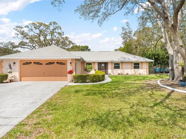 9111 Blaine Rd, Spring Hill, FL 34608