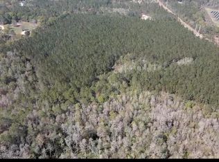 O'Lazy Pines Rd, Glen Saint Mary, FL 32040