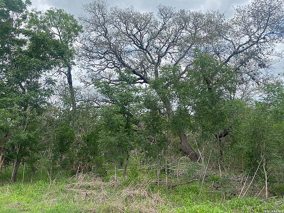 5th image of 10.36 ACRES New Sulphur Springs Road LOT MULTI
