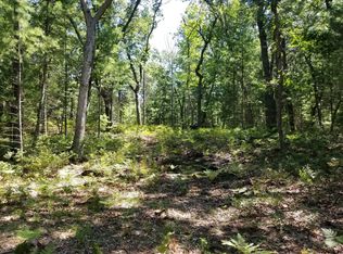 Vl N Perry Ave, Pentwater, MI 49449