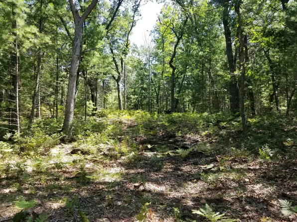 Vl N Perry Ave, Pentwater, MI 49449