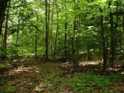 Lot 5 Maplecrest Road, Parsonsfield, ME, 04047