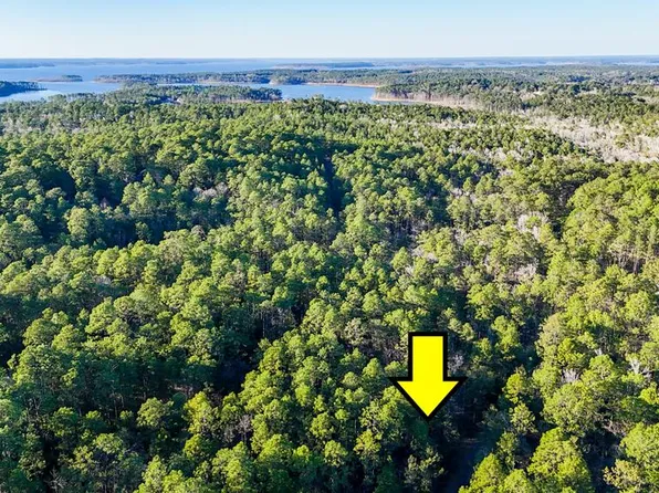 22 Sumac Dr, Brookeland, TX 75931