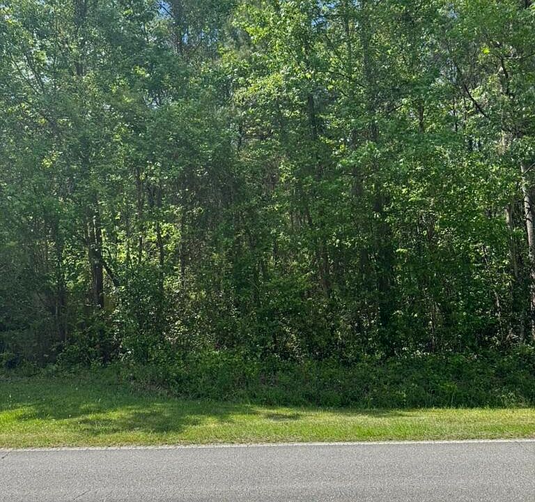 2nd image of 0 Borough Road