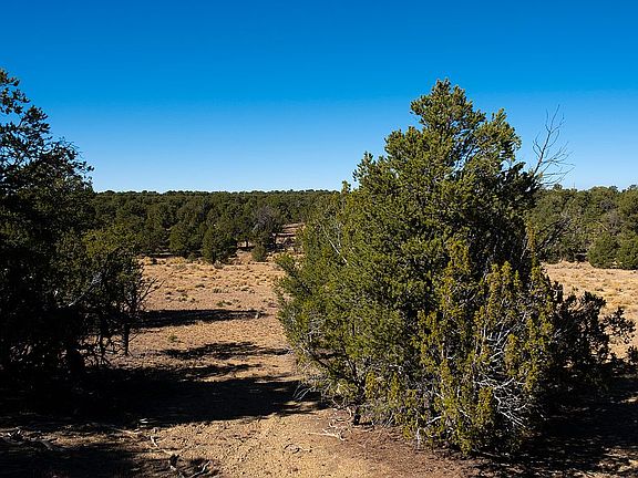 5th image of Ponderosa Dr #9