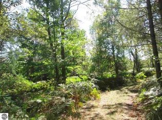 0 Emmons Rd, Kalkaska, MI 49646