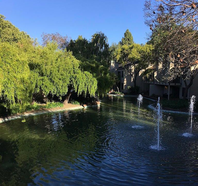 View of the lake and fountains and mature trees from the kitchen and living room windows.