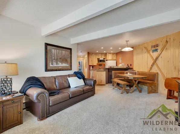 7316 Ryan Gulch Rd Building D, Silverthorne, CO 80498