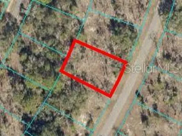 0 Guava Place Dr #7, Ocklawaha, FL 32179