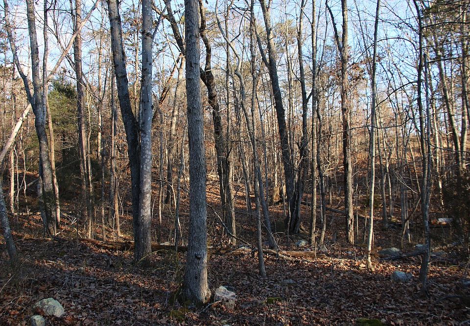 1st image of Lookout Dr Lot Wp001