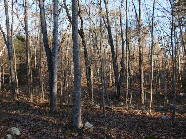 Lookout Dr Lot Wp001, Shenandoah, VA 22849