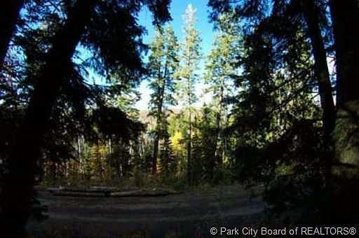 5th image of 170 Matterhorn Dr #M-2-45