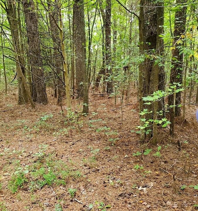 1st image of 0 Jones Bend Rd