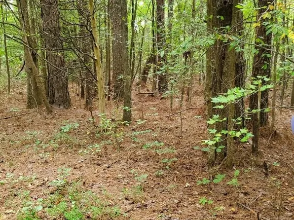 0 Jones Bend Rd, Paris, TN 38242