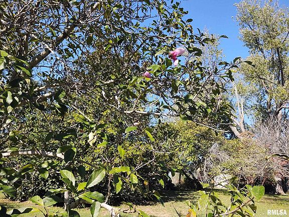 4th image of 901 Locust St