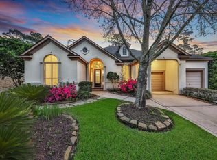 30 Acorn Cluster Ct, Spring, TX 77381