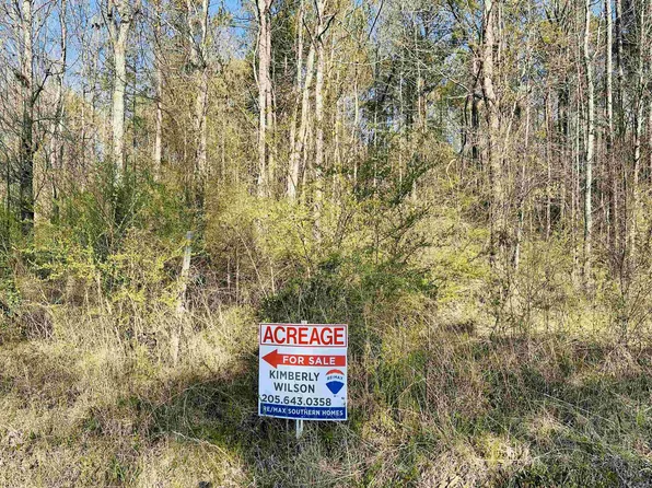 43718 Highway 25 #0, Vincent, AL 35178