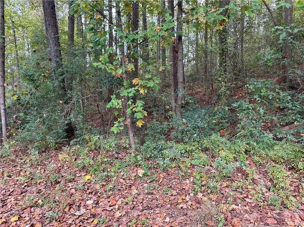 0 Ridgewood Dr #46, Pendergrass, GA 30567