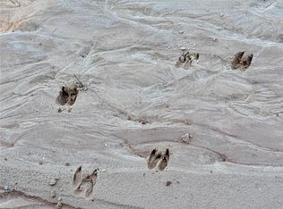 0 Lakeland Dr, Hillister, TX 77624