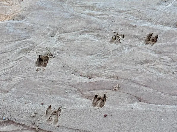 0 Lakeland Dr, Hillister, TX 77624