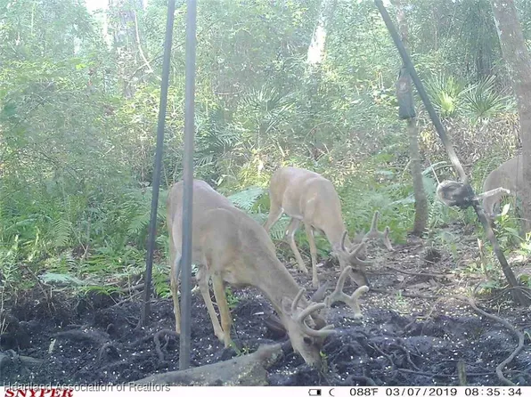 1279 Lois Ln, Zolfo Springs, FL 33890