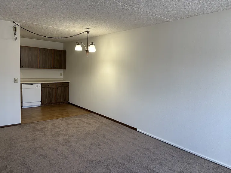 Kitchen/Living Room