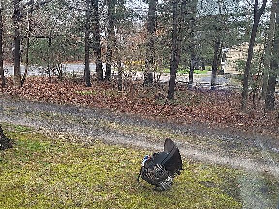5th image of 547 Long Island Ave