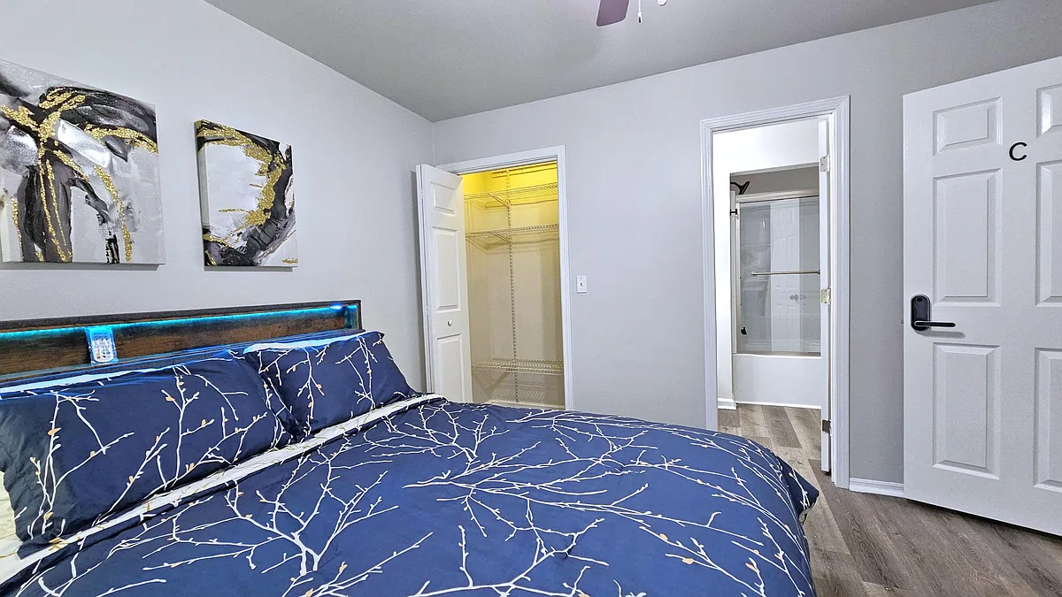Closet with lights - Spring Brook Dr